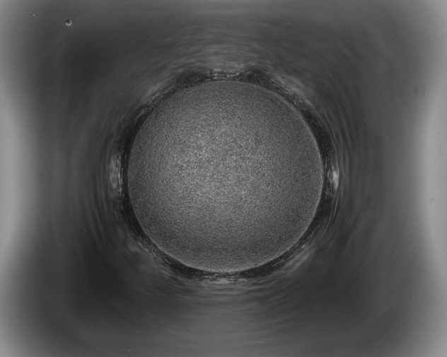 X0000086231252200704051149