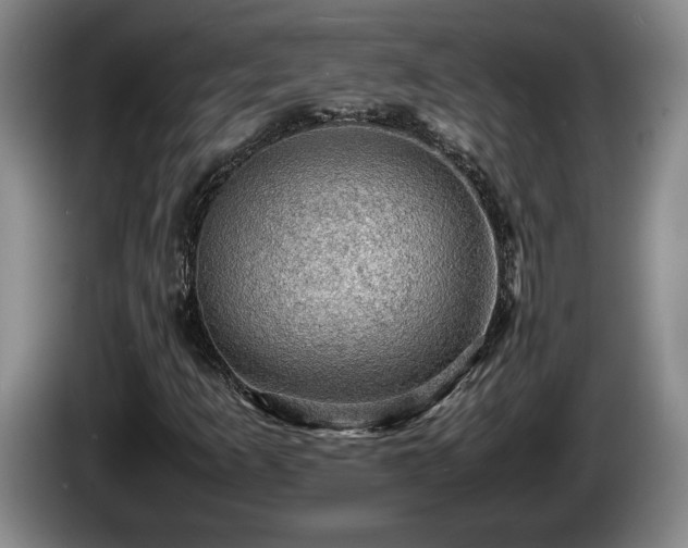 X0000086231253200704051149