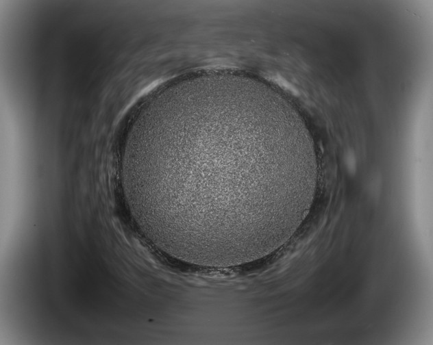 X0000086231255200704051149