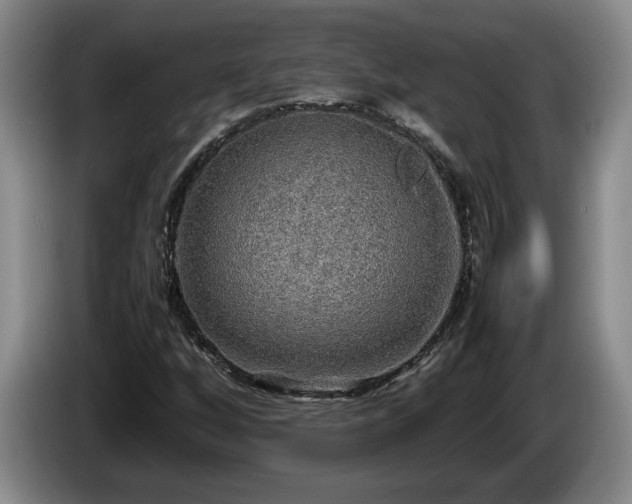 X0000086231256200704051149