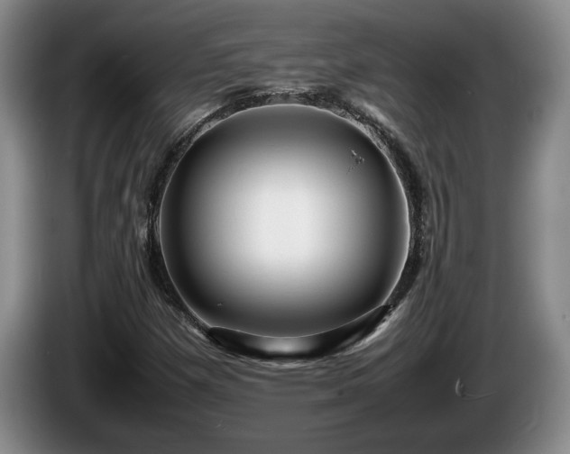 X0000086231257200704051149