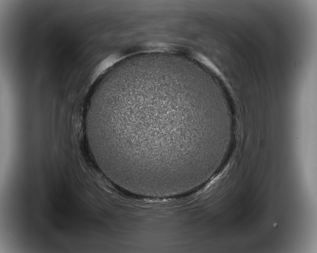 X0000086231259200704051149