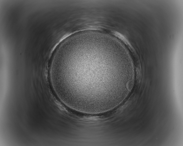 X0000086231260200704051149