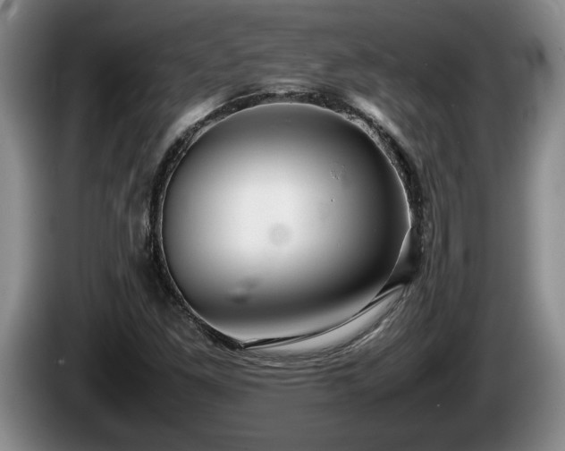 X0000086231261200704051148