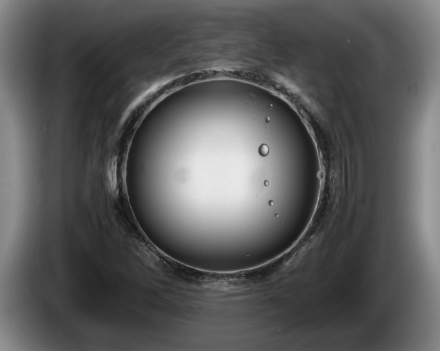 X0000086231262200704051148