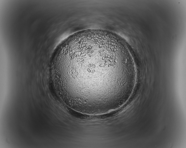 X0000086231263200704051148