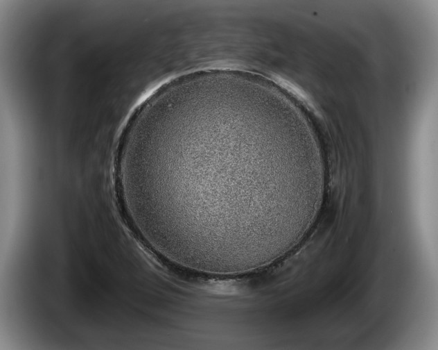 X0000086231264200704051148
