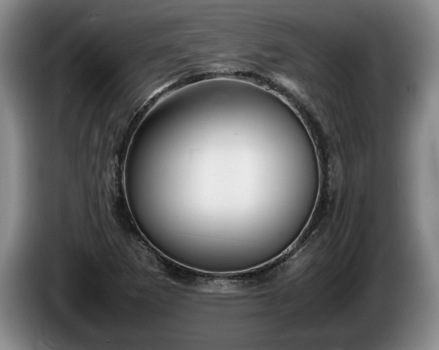 X0000086231265200704051148