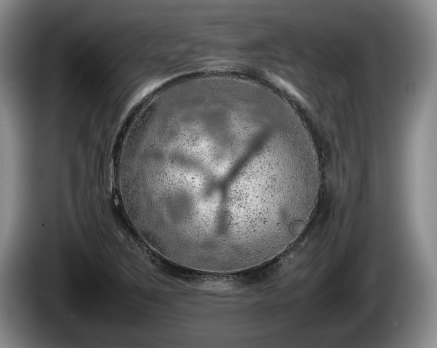 X0000086231267200704051148