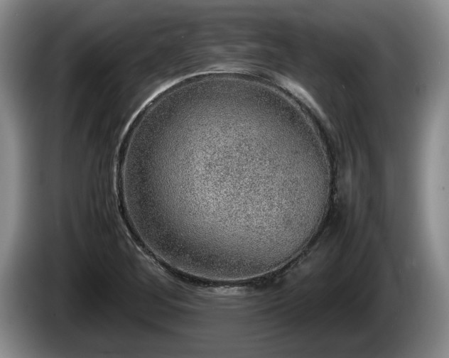 X0000086231268200704051148