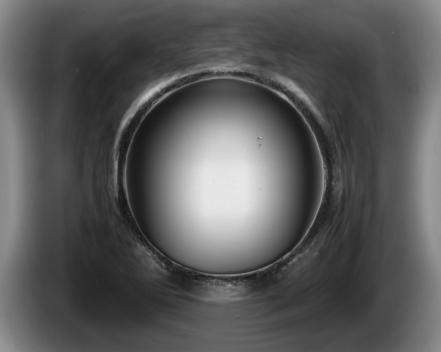 X0000086231270200704051148