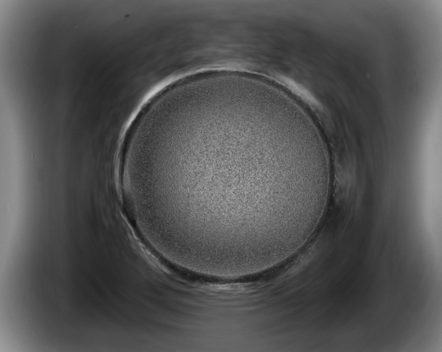 X0000086231272200704051148
