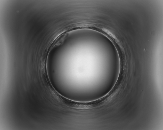 X0000086231273200704051148