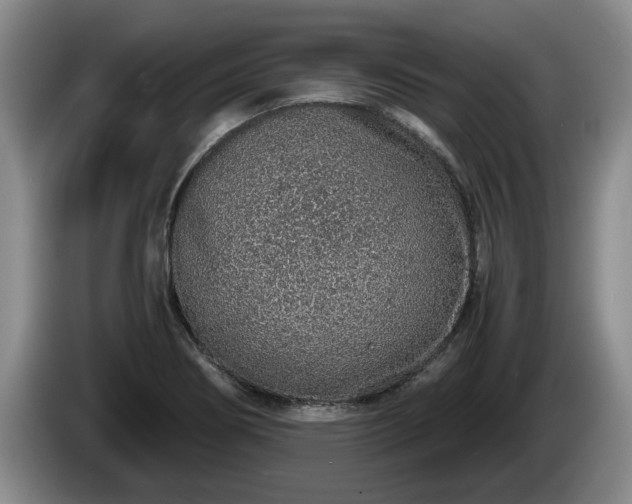 X0000086231274200704051148