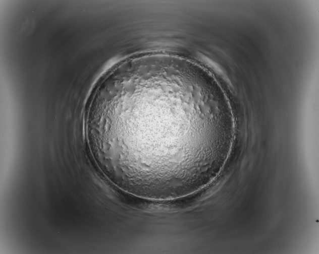 X0000086231275200704051148
