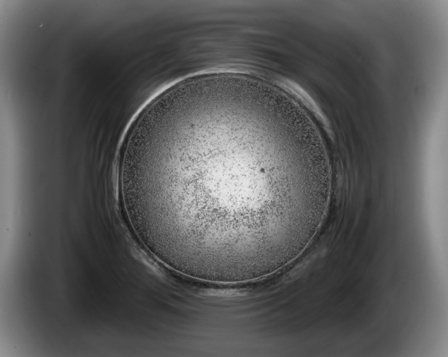 X0000086231276200704051148