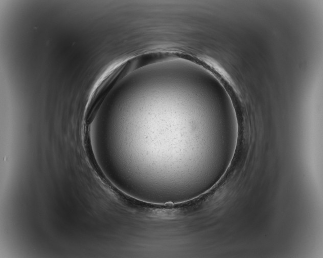 X0000086231277200704051148