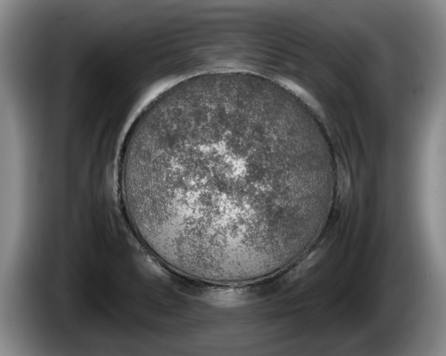 X0000086231278200704051148