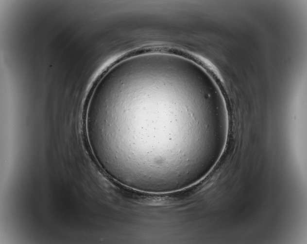 X0000086231279200704051148