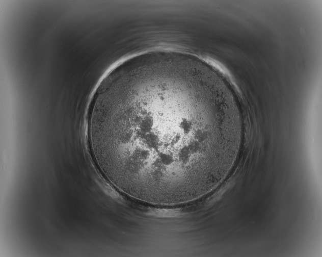 X0000086231280200704051148