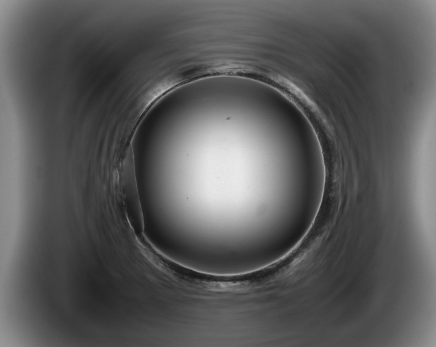 X0000086231281200704051148