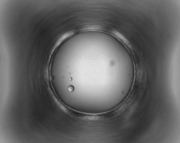 X0000086231282200704051148