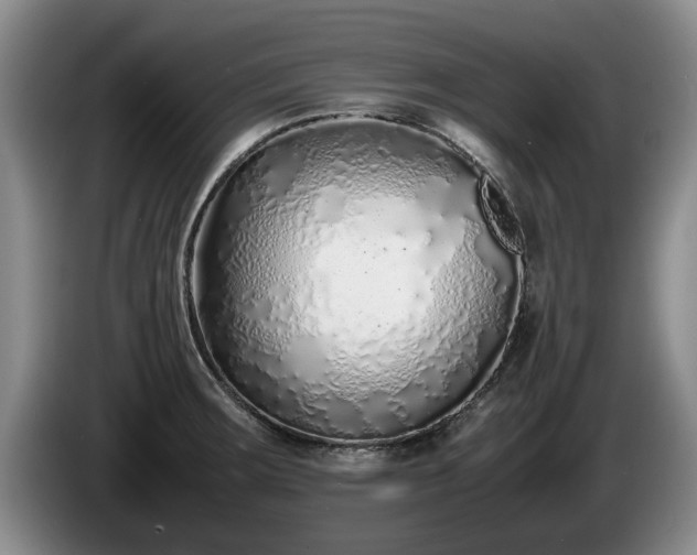 X0000086231283200704051148