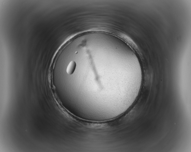 X0000086231284200704051148