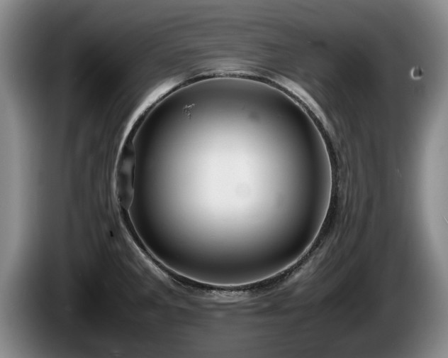X0000086231285200704051148