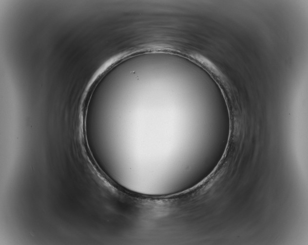 X0000086231286200704051148