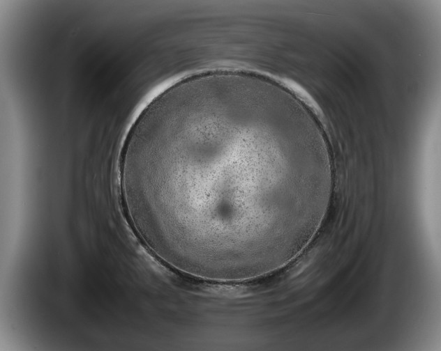 X0000086231287200704051148