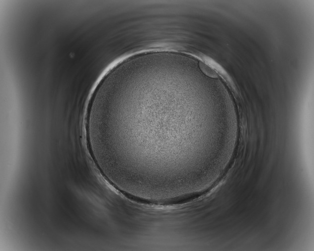 X0000086231288200704051148