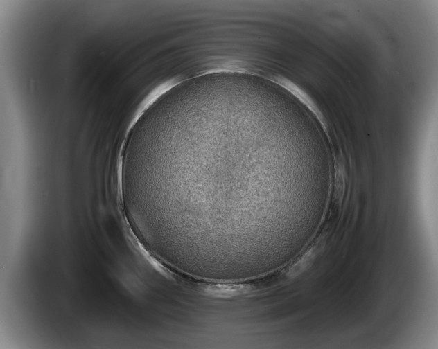 X0000086231290200704051148