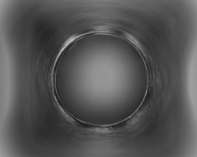 X0000086231291200704051148
