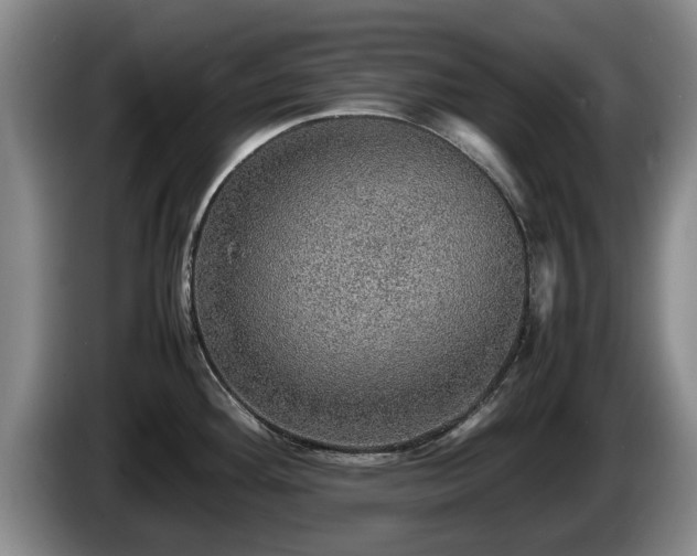 X0000086231292200704051148