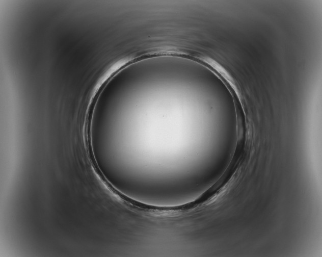 X0000086231293200704051148
