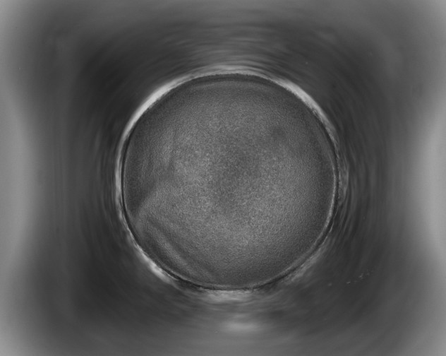 X0000086231294200704051148