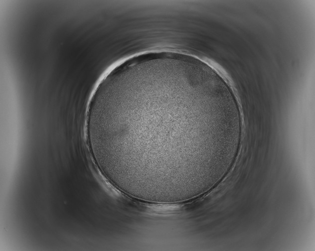 X0000086231296200704051148