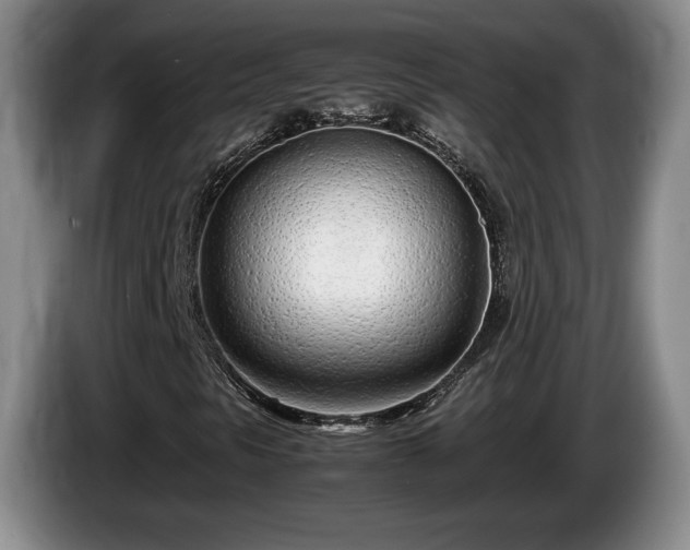 X0000086231297200704051147