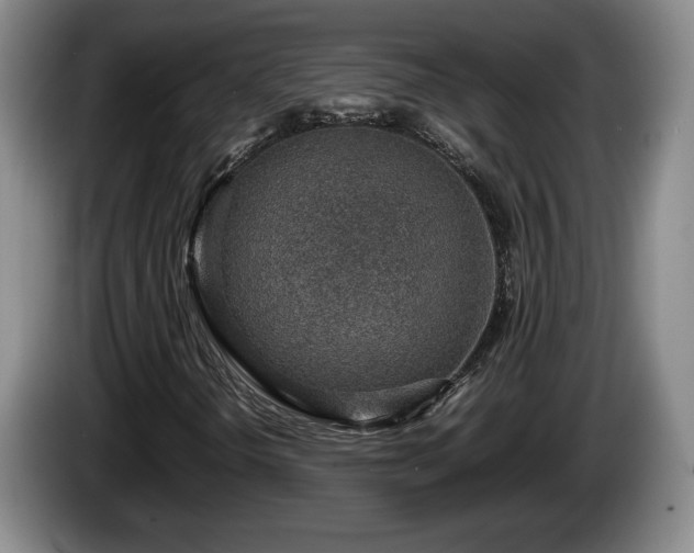 X0000086231298200704051147