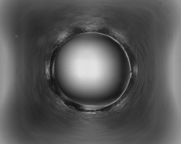 X0000086231300200704051147