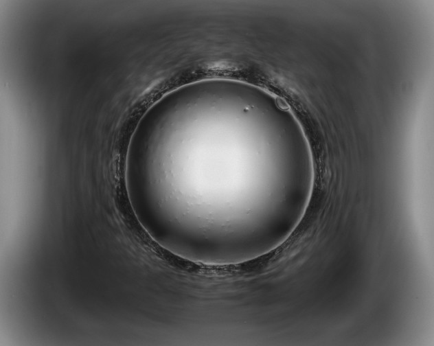 X0000086231301200704051147