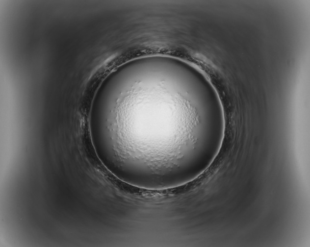 X0000086231302200704051147