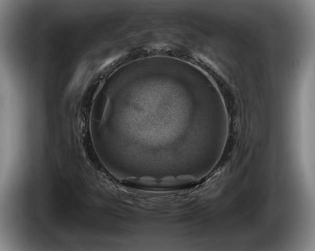 X0000086231303200704051147
