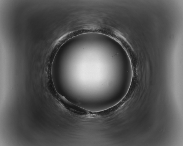 X0000086231304200704051147