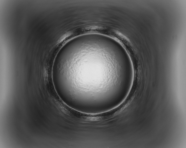 X0000086231305200704051147