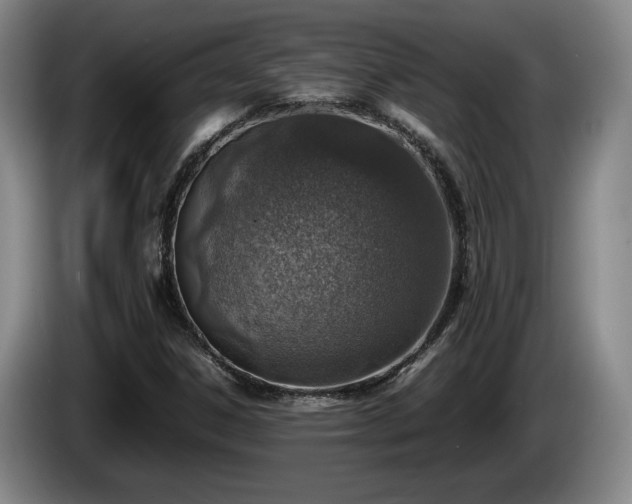 X0000086231306200704051147