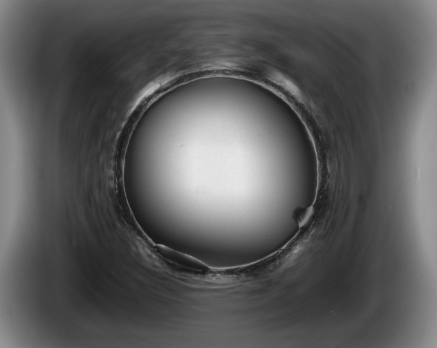 X0000086231308200704051147