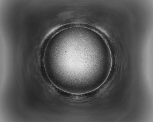 X0000086231311200704051148
