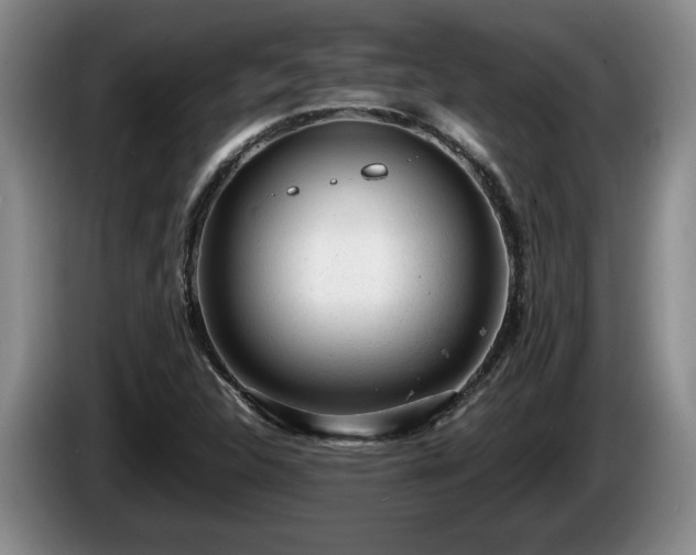X0000086231312200704051148
